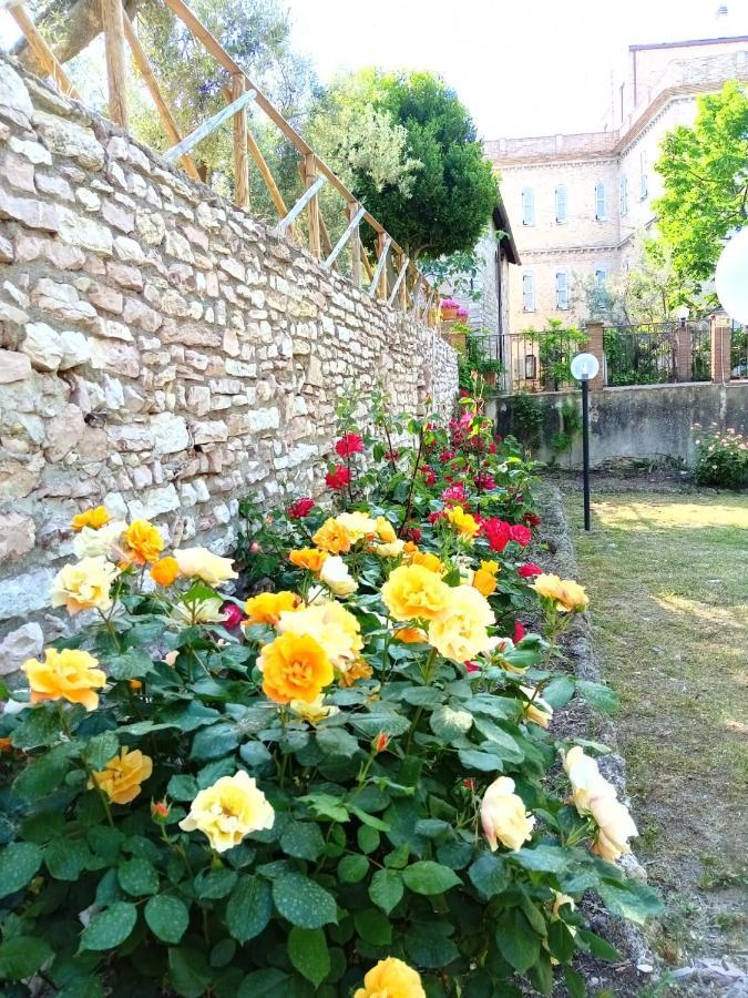 Residenza Messer Pajola Ассізі Екстер'єр фото
