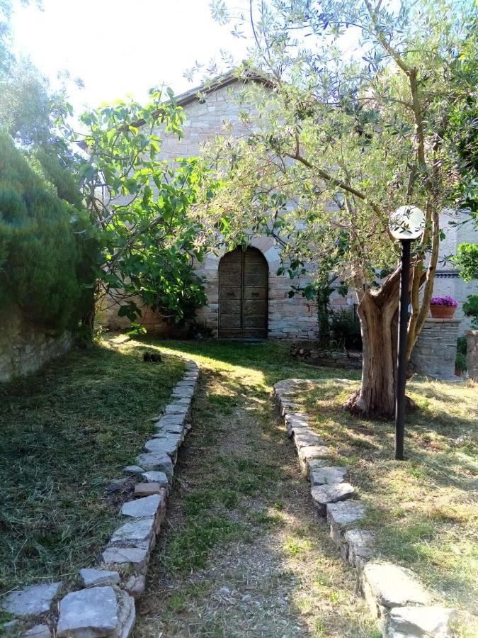 Residenza Messer Pajola Ассізі Екстер'єр фото